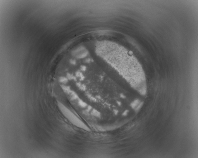 X0000081310823200702082108