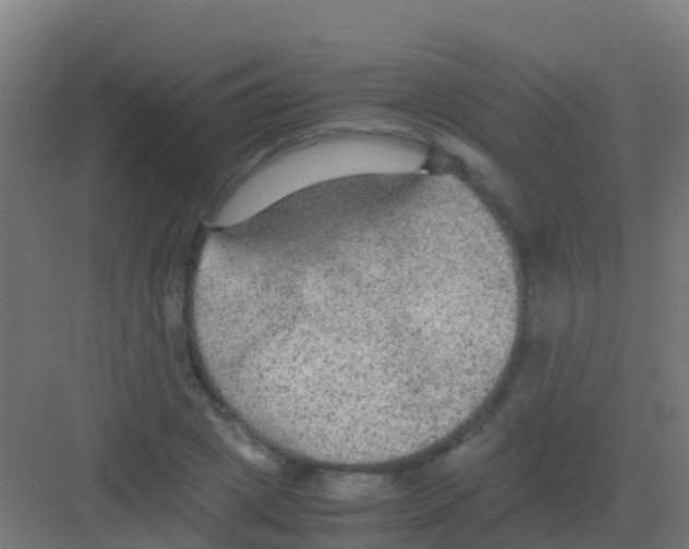 X0000081310833200702082108