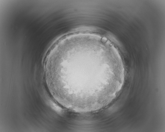 X0000081310836200702082108