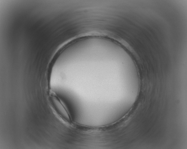 X0000081310838200702082108