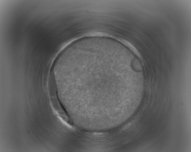 X0000081310839200702082108