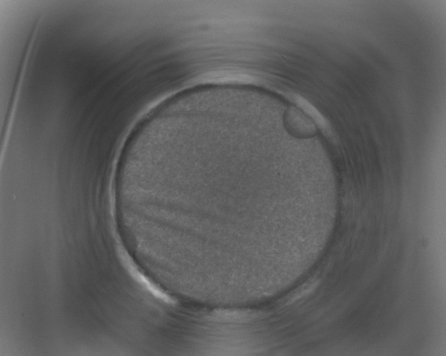 X0000081310840200702082108