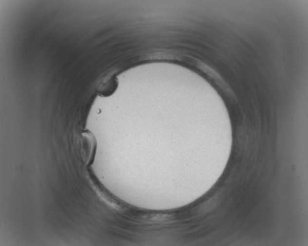 X0000081310841200702082108