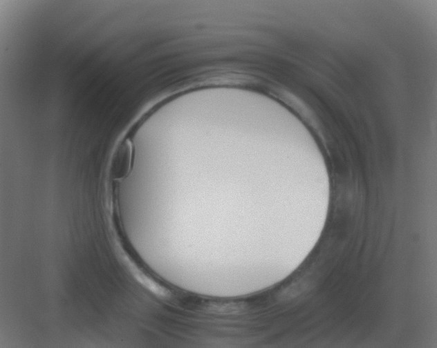 X0000081310843200702082108