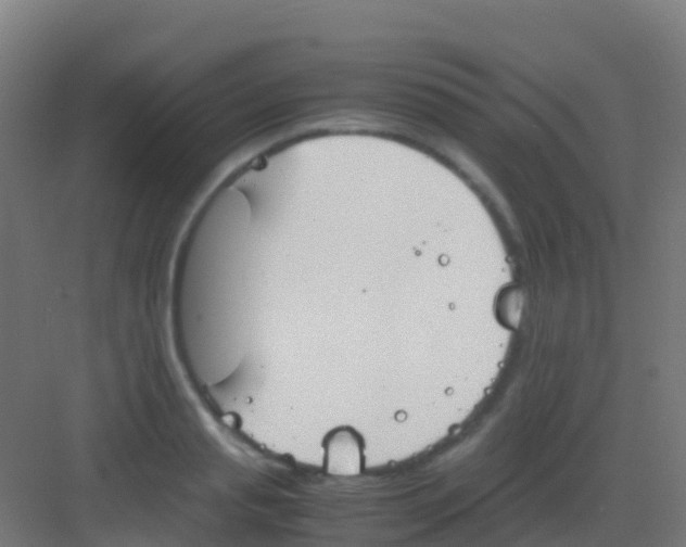 X0000081310845200702082108