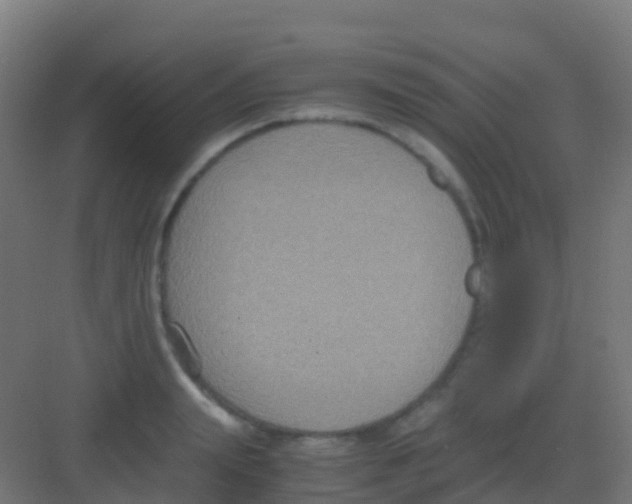 X0000081310847200702082108