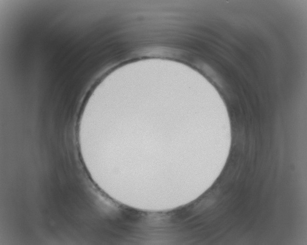 X0000081310848200702082108