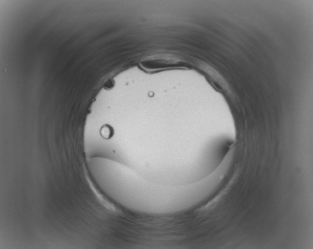 X0000081310849200702082108