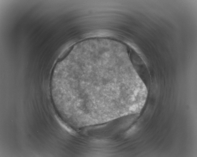 X0000081310850200702082108