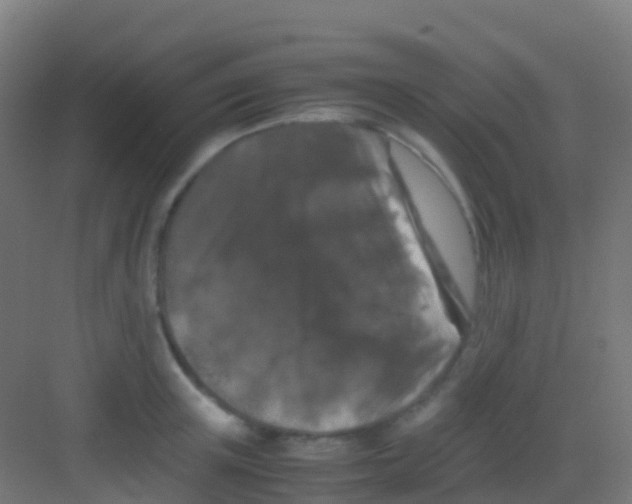 X0000081310851200702082108