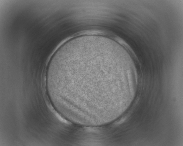 X0000081310852200702082108