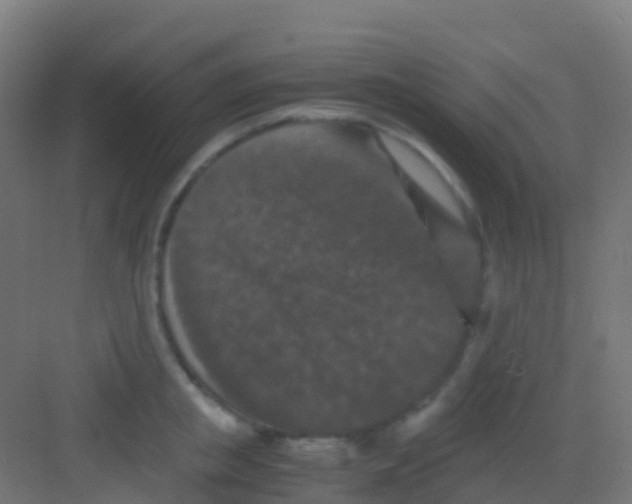 X0000081310853200702082108