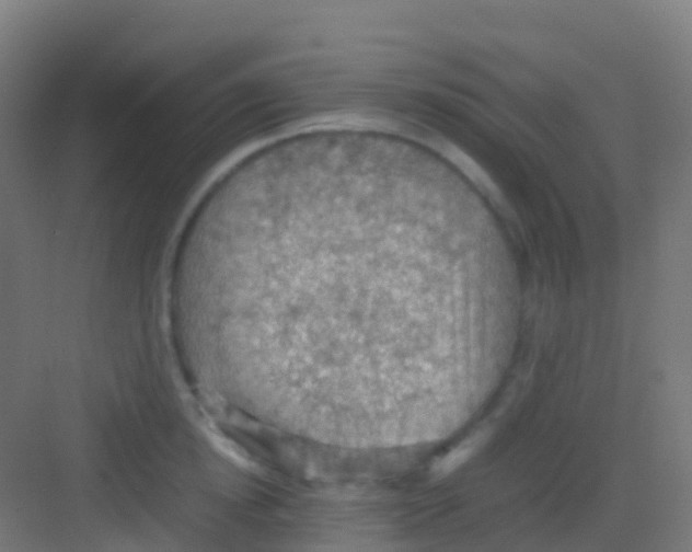 X0000081310854200702082108