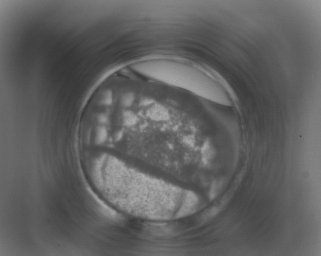 X0000081310855200702082108