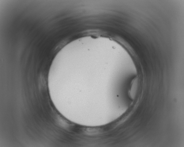 X0000081310857200702082108