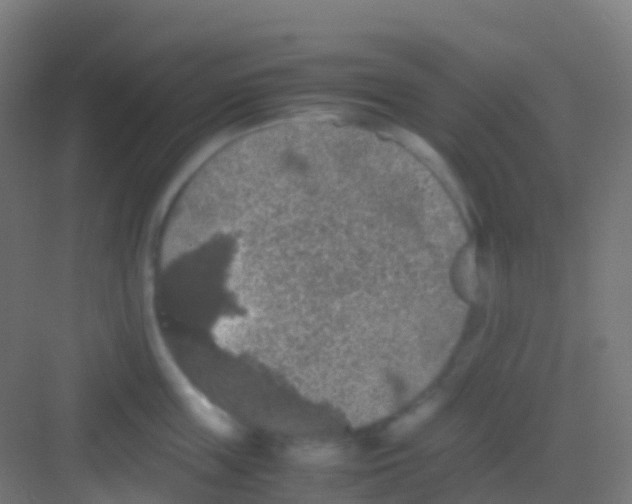 X0000081310859200702082108