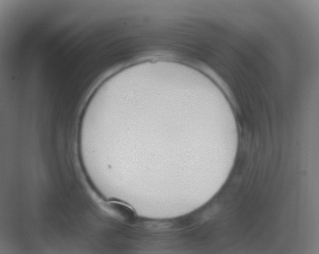 X0000081310861200702082108