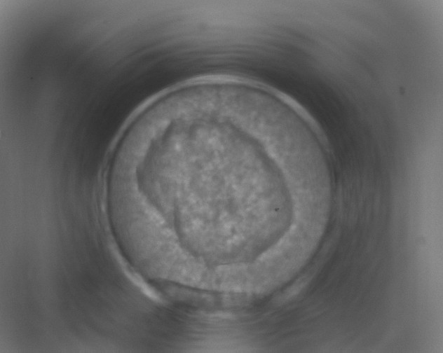 X0000081310862200702082108