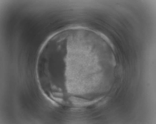 X0000081310863200702082108