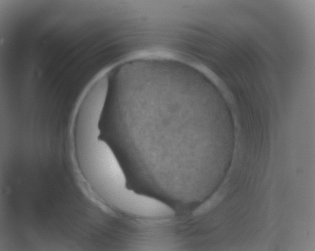 X0000081310864200702082108