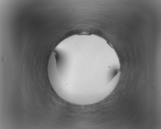 X0000081310865200702082108