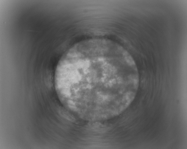 X0000081310866200702082108