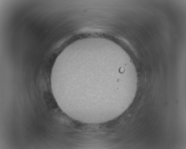 X0000081310871200702082108