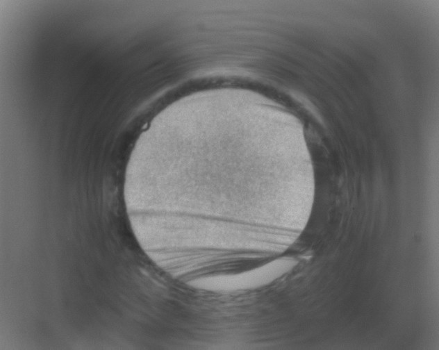 X0000081310872200702082108