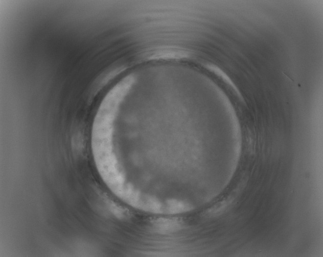 X0000081310874200702082107