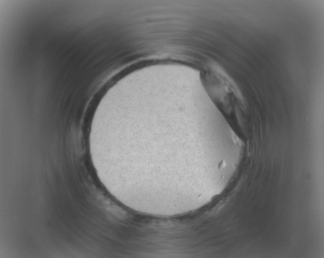 X0000081310876200702082107