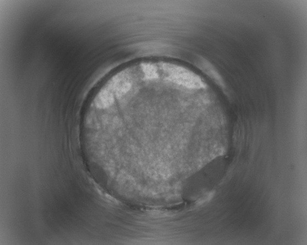 X0000081310877200702082107