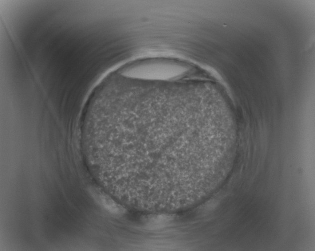 X0000081310879200702082107