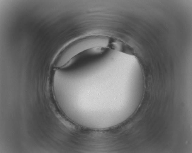 X0000081310880200702082107