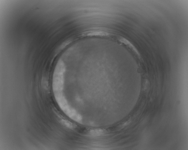 X0000081310882200702082107