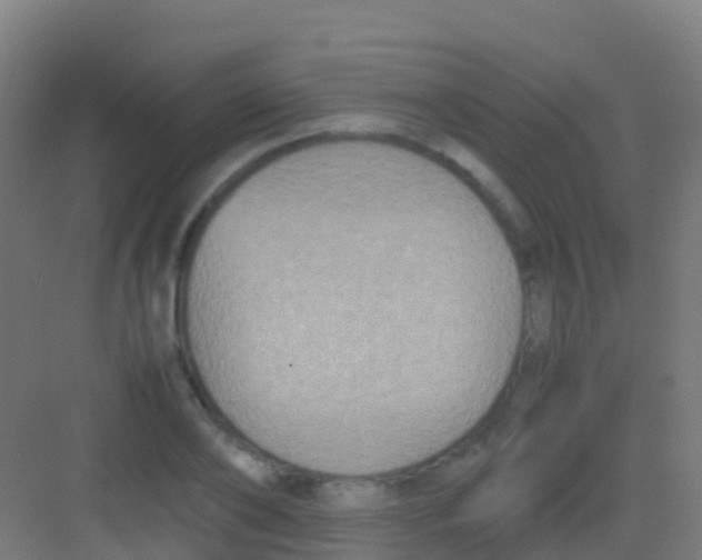 X0000081310886200702082107