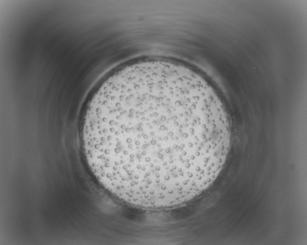 X0000081310887200702082107