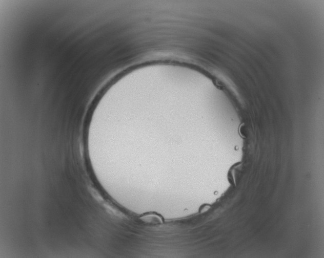 X0000081310888200702082107