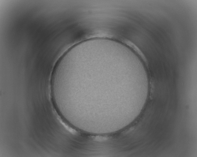 X0000081310890200702082107