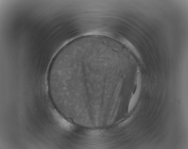 X0000081310892200702082107