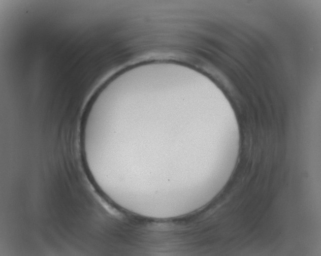 X0000081310894200702082107