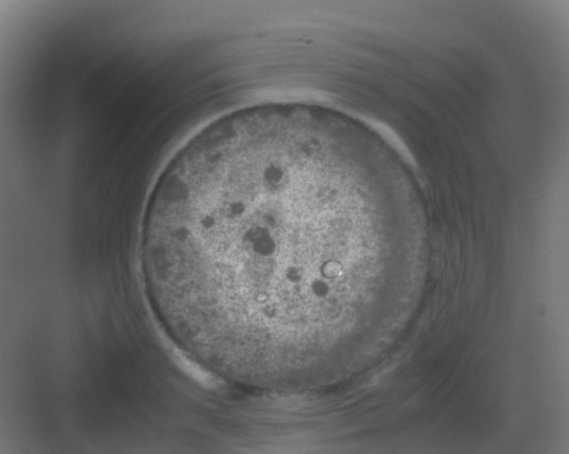 X0000081310895200702082107