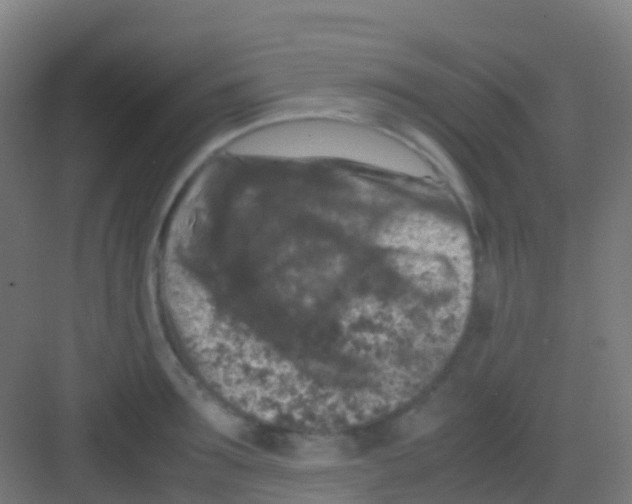 X0000081310899200702082107