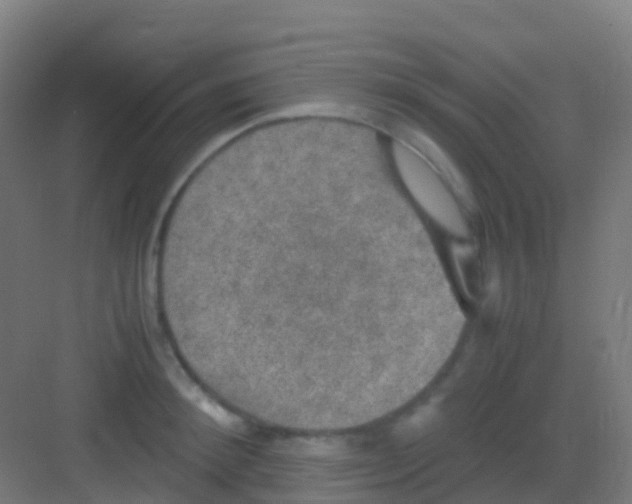 X0000081310900200702082107