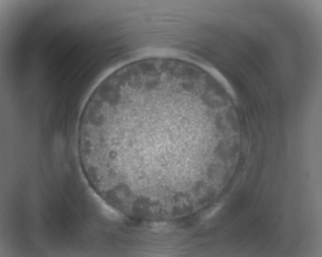 X0000081310903200702082107