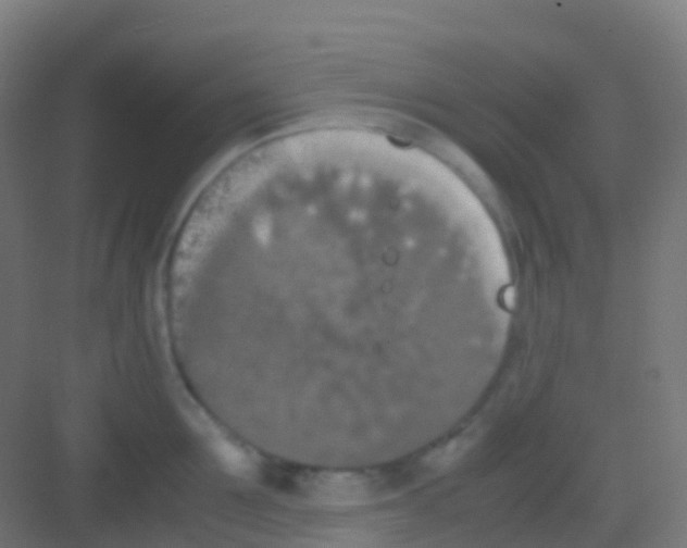 X0000081310907200702082107