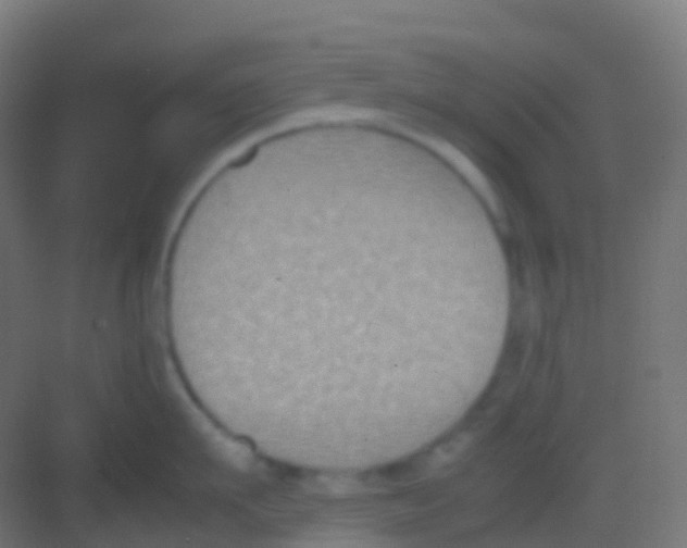 X0000081310911200702082107