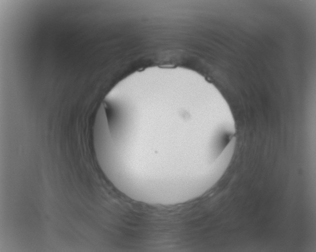 X0000081310913200702082106