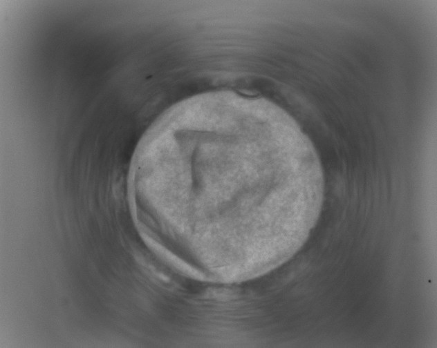 X0000081310914200702082106