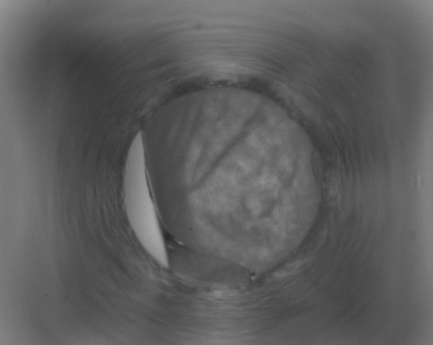 X0000081310916200702082106