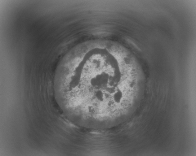 X0000081310917200702082106